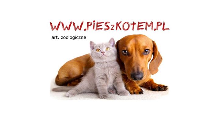 Pies z kotem